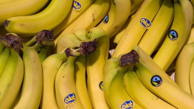 Podcast De Dag: geen zin, tijd of geld? Zo kan iedereen gezond eten