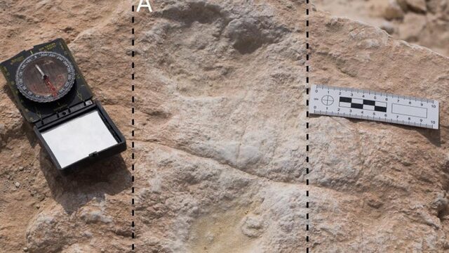 120.000 jaar oude voetstappen Homo sapiens gevonden in Midden-Oosten