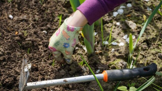 Tips voor een duurzame tuin