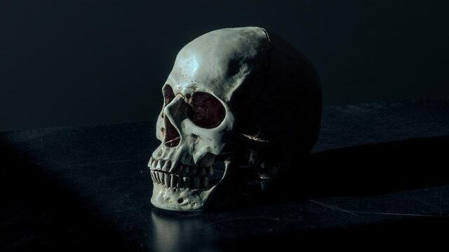 De zoektocht naar het verloren hoofd