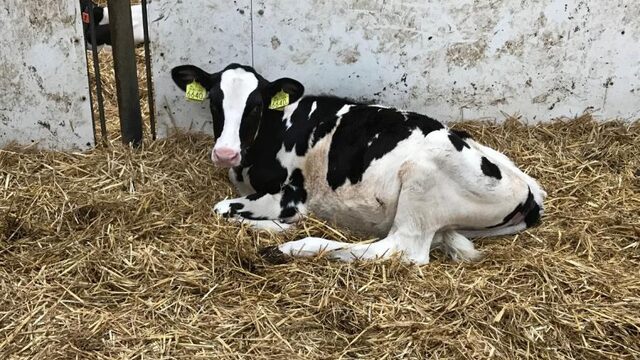 Boeren voelen zich niet gewaardeerd
