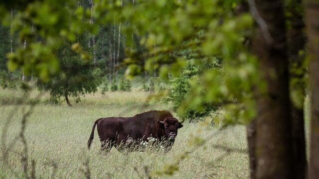 Vertrek je deze zomer richting Oost-Europa? Stop dan ook zeker even hier…