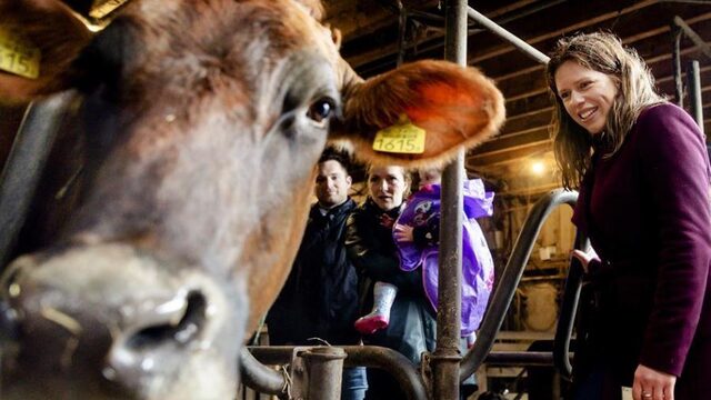Kliklijn om machtsmisbruik supermarkten aan te pakken