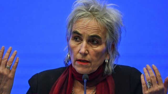Marion Koopmans: 'COVID-19 mogelijk al 45 jaar oud vleermuizenvirus'