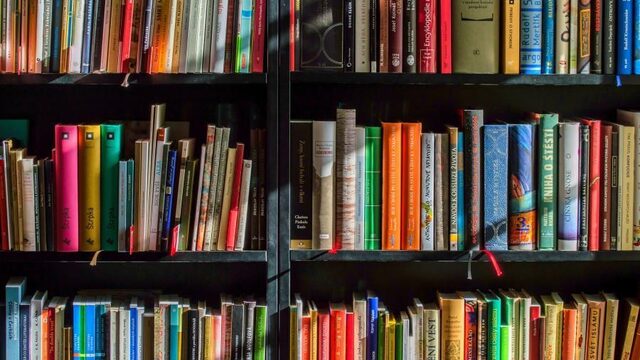 Hoogleraar Laaggeletterdheid: 'We vinden het moeilijk om basale woorden te gebruiken'