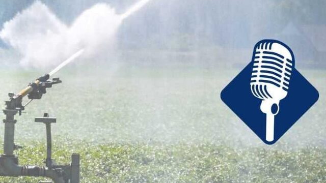 Podcast De Dag: 'De droogte beheerst mijn hele leven op dit moment'