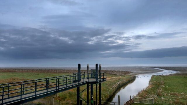 Waterschappen: 'Aparte belasting, dus ook aparte verkiezingen'