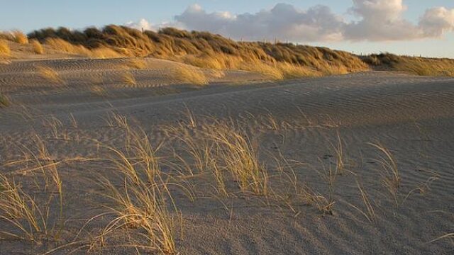 Definitief akkoord over bebouwing aan de kust