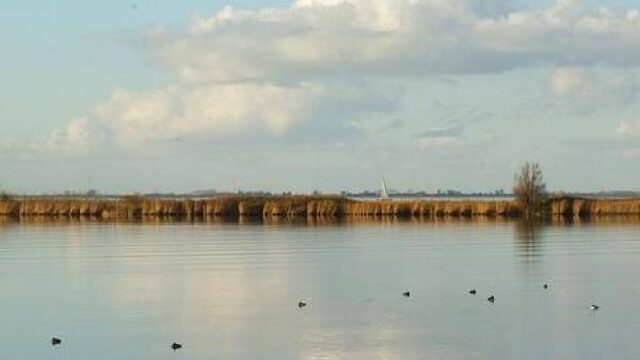 Nederland heeft er een nieuw eiland bij