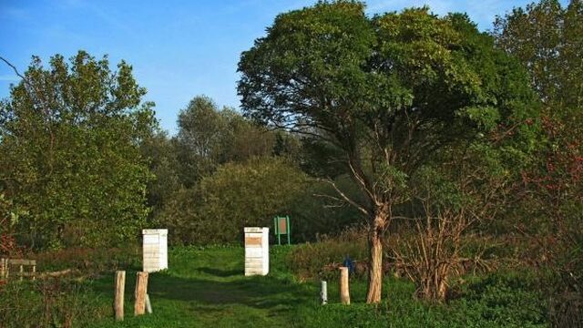Volksbos Vlaardingen bestaat 25 jaar