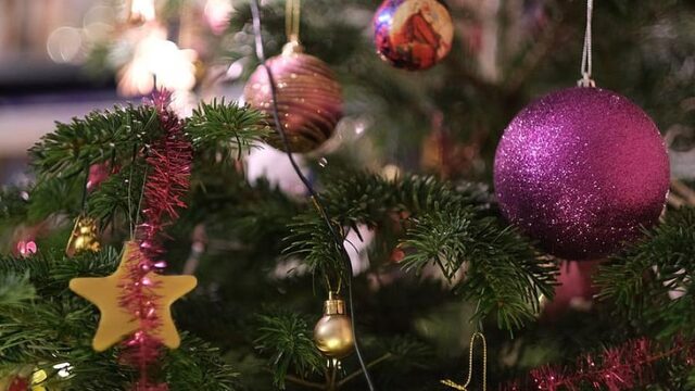 Moeilijk: een kerstboom waar de naalden niet van uitvallen