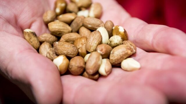 Hoe dodelijk is een pinda-allergie?