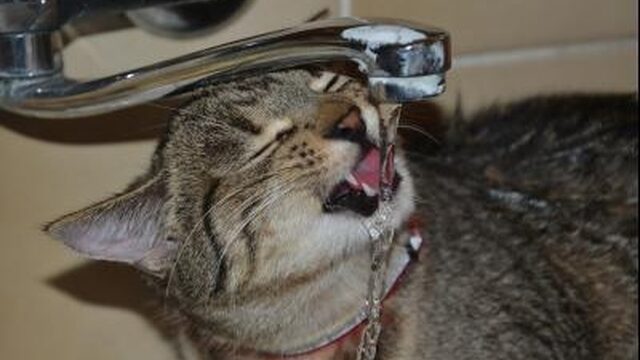Waterschapsbelasting stijgt: consument meer geld kwijt