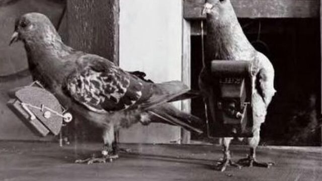 De duif: CIA-spion en oorlogsheld