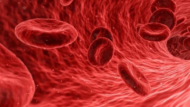 Lekkende bloedvaten voor betere medicatie