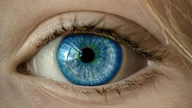 Je pupillen zijn muzikaler dan je denkt