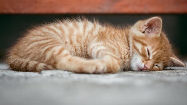 5 tips om voldoende slaap te krijgen