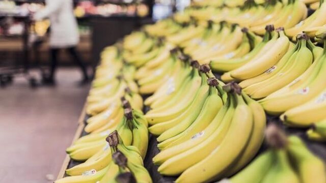 Doorbraak bananenziekte redt banaan niet van ondergang