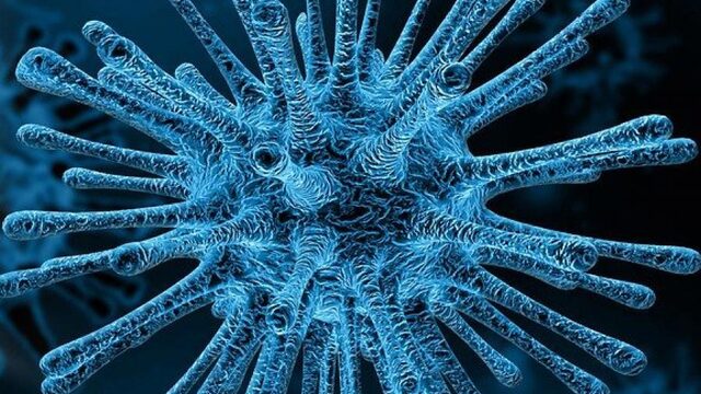 Waarom zijn mannen gevoeliger voor het coronavirus?