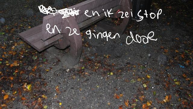 SP vraagt minister om uitleg in zaak Haagse rechter