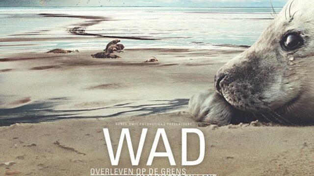 Waarom je deze natuurfilm niet mag missen