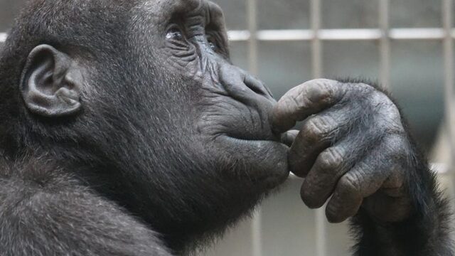 Het was een jaar om je over veel dingen druk te maken