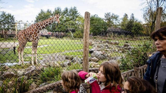 'Zorg van dieren in dierentuinen in gevaar'