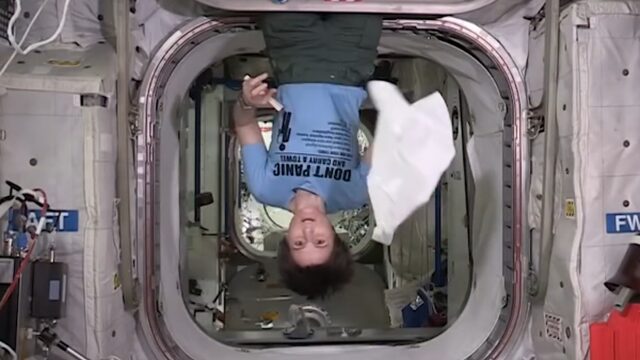 TrendingVandaag: #towelday