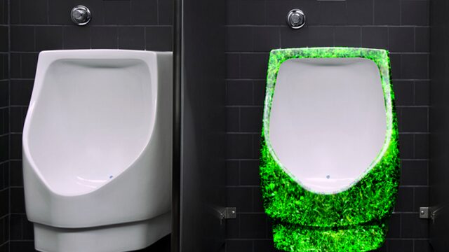 Hoe woestijnmos urinoirs spettervrij kan maken
