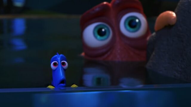 TrendingVandaag: Vissen hebben goed geheugen