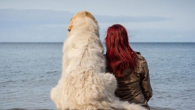 Honden laten zich makkelijker trainen door extravert baasje
