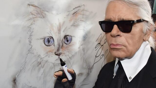 Mag poes Choupette Lagerfelds 700 miljoen erven?