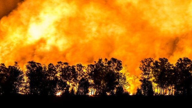 Inwoners Herkenbosch mogen nog niet naar huis, natuurbrand nog niet onder controle