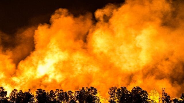 Inwoners Herkenbosch mogen nog niet naar huis, natuurbrand nog niet onder controle