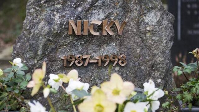 20 jaar na dood Nicky Verstappen (11) doorbraak in onderzoek