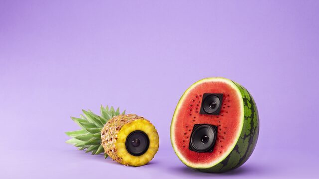 Het Grote Woord Vakantiepakket 2016