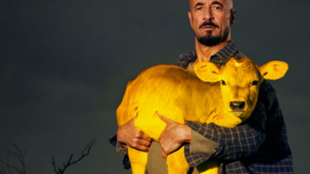 Er is van alles wat op het Nederlands Film Festival, en dit is een selectie