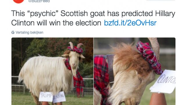 TrendingVandaag: Dieren voorspellen winnaar verkiezingen VS