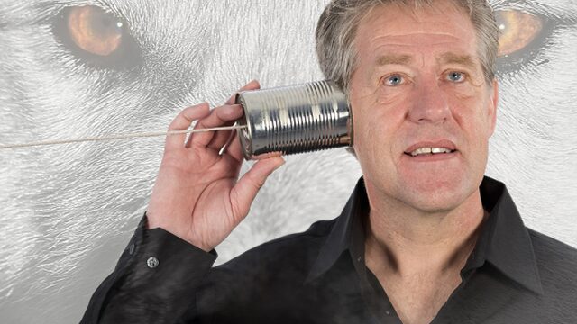 Peter Heerschop presenteert nieuw programma op NPO Radio 1