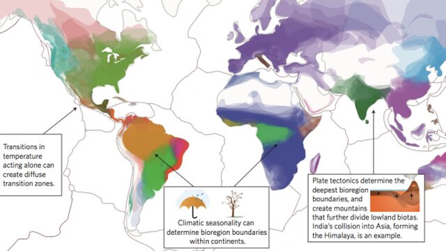 Drijvende krachten achter de verspreiding van diersoorten over de wereld