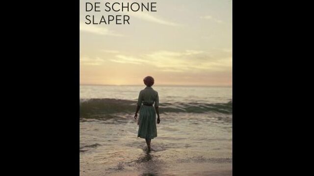 In de Boekenrubriek: 'De schone slaper' van Allard Schröder