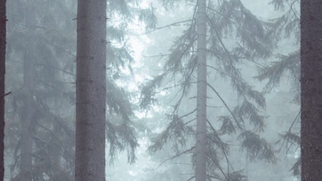 Wat kunnen we verwachten van het nieuwe seizoen van Twin Peaks?