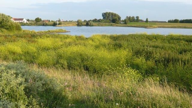 Natura 2000 viert 25-jarig jubileum