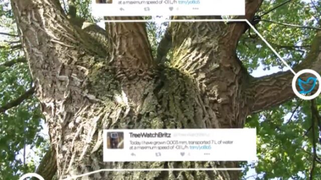 Privé: De exclusieve story van de twitter-boom