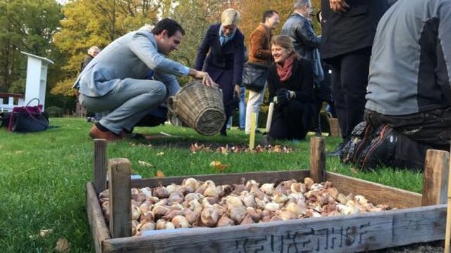 De Baltische staten lijken minder op elkaar dan je denkt