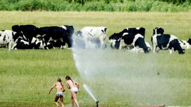 Deze mensen lijden het meest onder de aanhoudende droogte