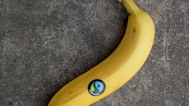 Verkoop eerlijke producten stijgt: 'Consument zoekt bewust naar Fairtrade producten'