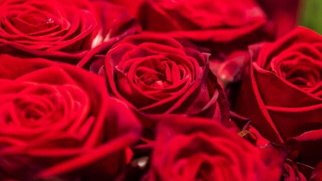 Podcast De Dag: hoe bloemen leggen pijn kan doen