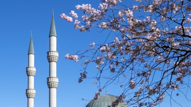 'Nederlanders die vastzitten in Marokko moeten terug kunnen, zeker in de tijd van Ramadan'