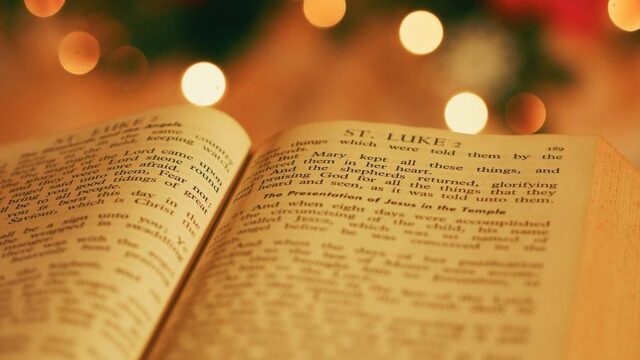 Fijne boekentips voor de kerstdagen
